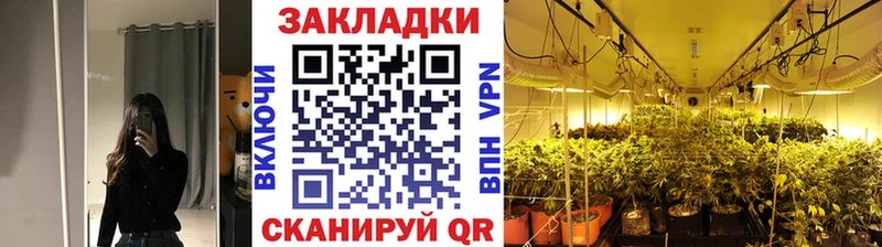 Купить закладку Шарья Каннабис  СОЛЬ  Псилоцибиновые грибы  Кокаин  ГАШ 