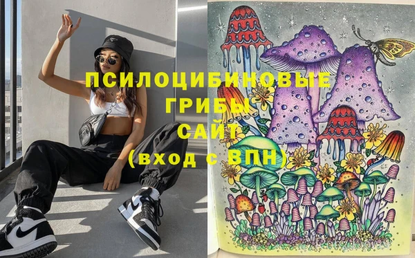 спиды Абаза