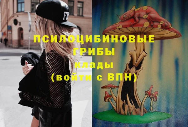спиды Абаза