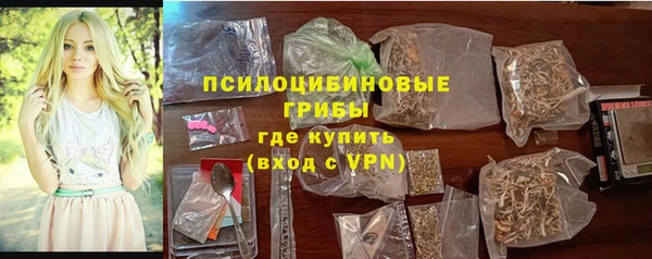сатива Абинск