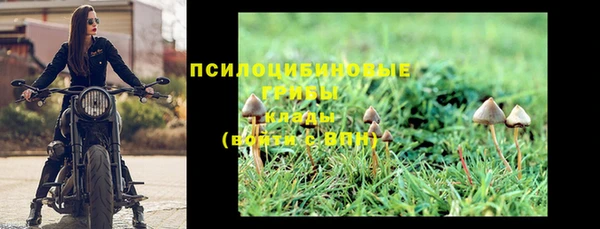 сатива Абинск